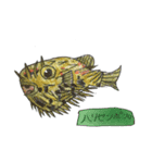 そうたが描いた魚（個別スタンプ：8）