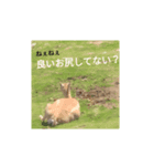 社員のゆるーい1日（個別スタンプ：2）