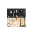 社員のゆるーい1日（個別スタンプ：3）