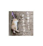 社員のゆるーい1日（個別スタンプ：8）
