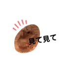 ちびハムちゃん6（個別スタンプ：1）
