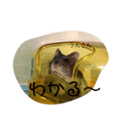 ちびハムちゃん6（個別スタンプ：10）