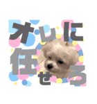 うゆのスタンプ③（個別スタンプ：8）