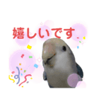 うちのインコ2（個別スタンプ：6）