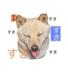 ふちゃんだよ（個別スタンプ：6）