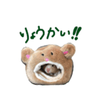 はむ(キンクマ)（個別スタンプ：1）