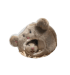 はむ(キンクマ)（個別スタンプ：12）