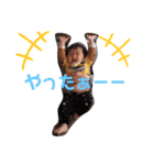 コトハル2020（個別スタンプ：8）