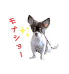 コトハル2020（個別スタンプ：39）