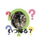 猫ばばあ2（個別スタンプ：2）