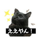 猫ばばあ2（個別スタンプ：11）