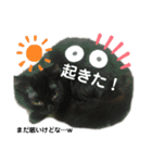 猫ばばあ2（個別スタンプ：14）