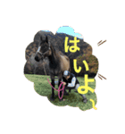 馬屋のボスコ（個別スタンプ：5）