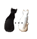 かわいいねこのごろごろすたんぷ♡（個別スタンプ：3）