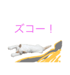 かわいいねこのごろごろすたんぷ♡（個別スタンプ：17）