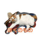 あおandはむ（個別スタンプ：2）
