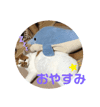 あおandはむ（個別スタンプ：4）
