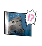CATSTAMP、（個別スタンプ：1）