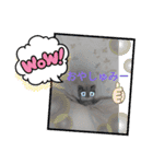 CATSTAMP、（個別スタンプ：4）