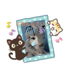 CATSTAMP、（個別スタンプ：5）