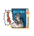 CATSTAMP、（個別スタンプ：6）