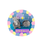 CATSTAMP、（個別スタンプ：9）