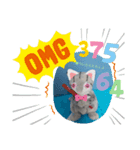 CATSTAMP、（個別スタンプ：13）