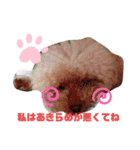 ナラファミリー23（個別スタンプ：2）