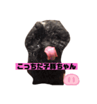 ナラファミリー23（個別スタンプ：3）