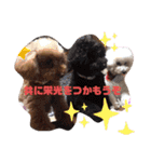 ナラファミリー23（個別スタンプ：4）