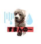 ナラファミリー23（個別スタンプ：9）