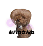 ナラファミリー23（個別スタンプ：15）