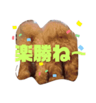 ナラファミリー23（個別スタンプ：16）