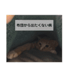 ききとろんとたまにコハルさん（個別スタンプ：16）