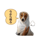 ききとろんとたまにコハルさん（個別スタンプ：21）
