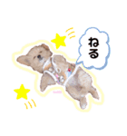 タレ目のテディさん（個別スタンプ：5）