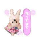 タレ目のテディさん（個別スタンプ：9）