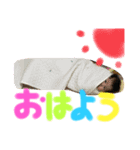 おうがvol.2（個別スタンプ：5）