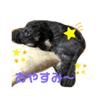 びびと、のほほんな毎日（個別スタンプ：5）