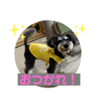 びびと、のほほんな毎日（個別スタンプ：8）