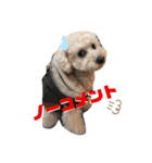 ウチの不思議クンまっしゅPart4（個別スタンプ：1）