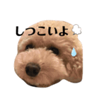 ウチの不思議クンまっしゅPart4（個別スタンプ：7）