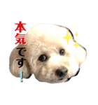 ウチの不思議クンまっしゅPart4（個別スタンプ：8）