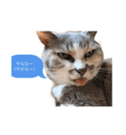 新しい方言と名言スタンプ（個別スタンプ：1）