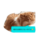 新しい方言と名言スタンプ（個別スタンプ：7）