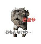 バイエス（個別スタンプ：1）