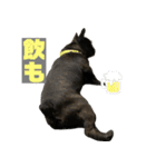 バイエス（個別スタンプ：4）