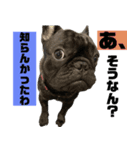 バイエス（個別スタンプ：9）