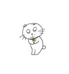 ぽぽねこ【心温かねこ】（個別スタンプ：6）