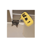 麦茶くんスタンプ2！！（個別スタンプ：7）